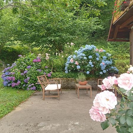 Holiday Home Vesna Brod na Kupi Exterior foto
