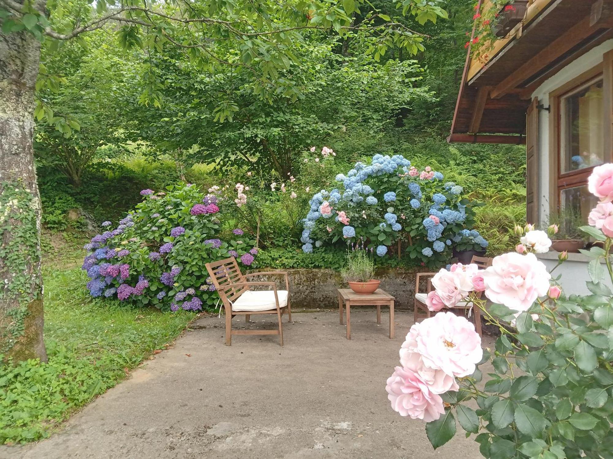 Holiday Home Vesna Brod na Kupi Exterior foto